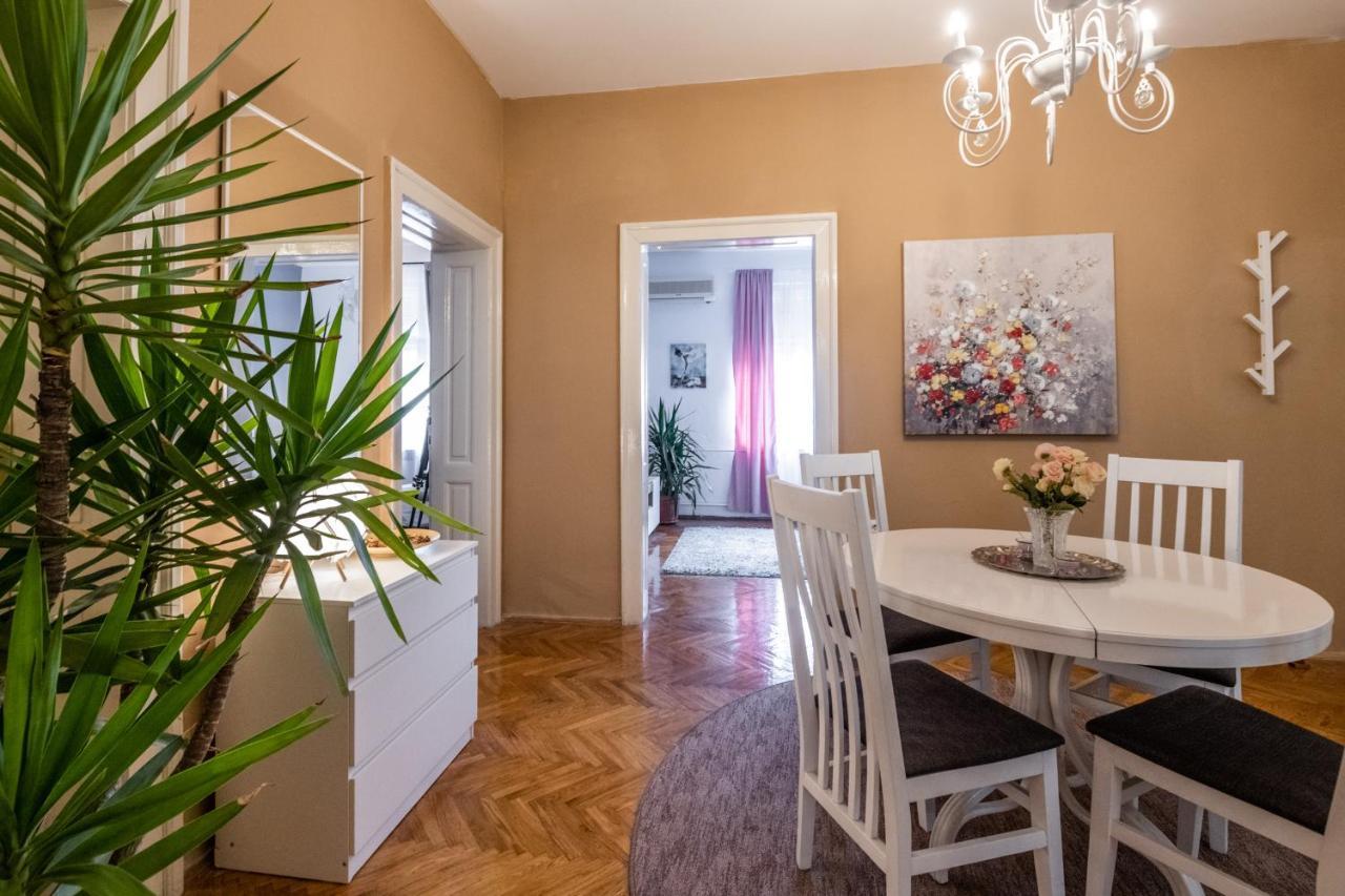 Neimar Apartment With Great Wi-Fi And Free Parking ベオグラード エクステリア 写真