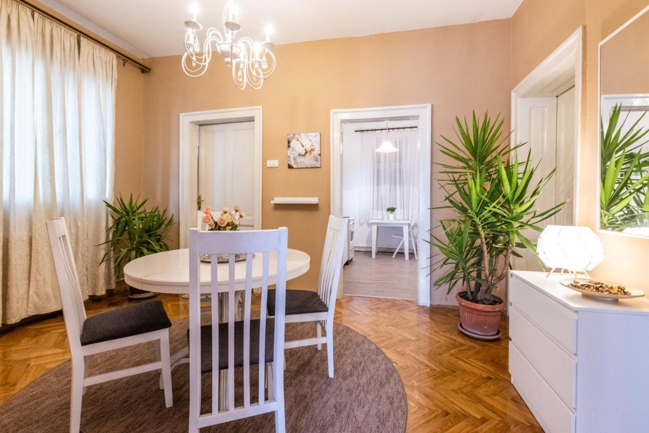Neimar Apartment With Great Wi-Fi And Free Parking ベオグラード エクステリア 写真