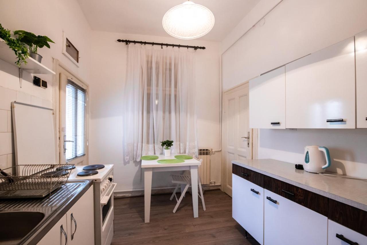 Neimar Apartment With Great Wi-Fi And Free Parking ベオグラード エクステリア 写真